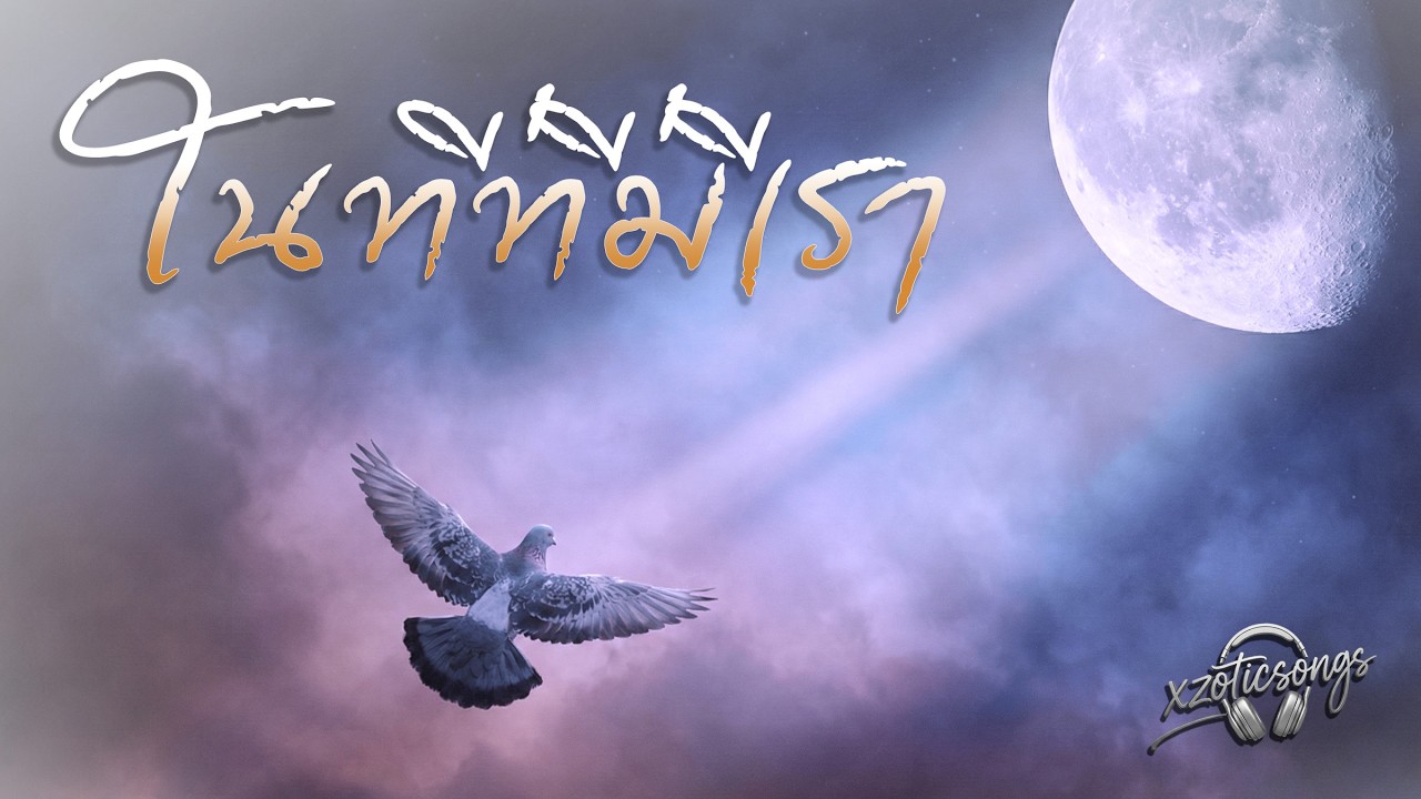 ในที่ที่มีเรา : xzoticsongs