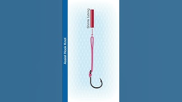 #Shorts How To Tie The Assist Hook Knot