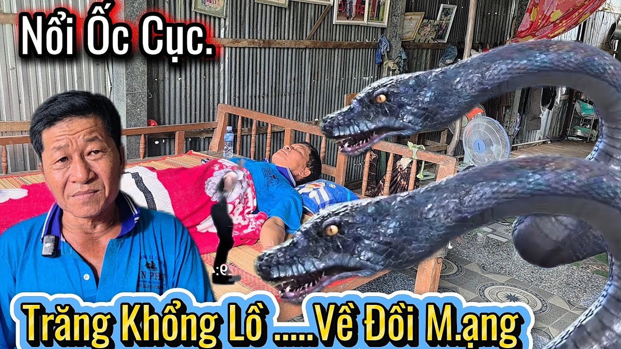 NỔI ỐC CỤC.Gia Chủ Bất Nhầm Trăng Phóng Sanh.12 Giờ Khuya Về Đồi M.ạng Gia Chủ Cầu cứu 