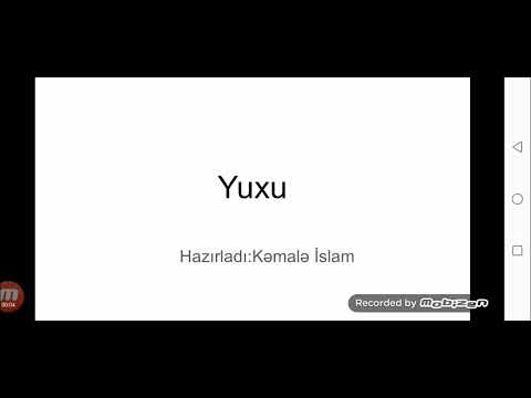 9-cu sinif "Yuxu" mövzusu