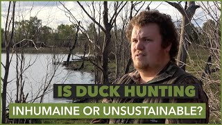 The Sustainability of Duck Hunting in South Australia | Exploring Humanely Dispatching Ducks by CHASA - Conservation And Hunting Alliance of SA 201 views 9 months ago 4 minutes, 14 seconds