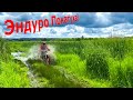 Эндуро 🏍 покатуха по лесу и болоту CRX-250, ltz-400, ktm, kayo.