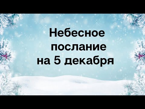 Небесное послание на 5 декабря. Будьте решительнее.