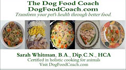 Vet Recommended Homemade Dog Food