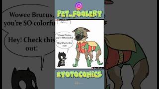 Best Friend Costumes Gone Wrong 😂 | Funny Comics Dub (Pet Foolery) #comedy #comics #comicdub #funny