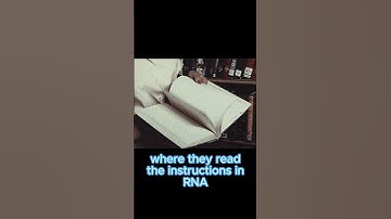 What is the ribosome? #shorts