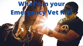 How to Adopt a Mustang: Essentials for an Emergency Vet Kit