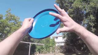 Retrieving A Frisbee