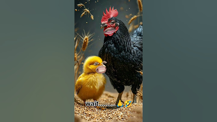 सावन‌ vs मुर्गा 🐔🤣 #funny #thetharpuns #comedy #shortvideo