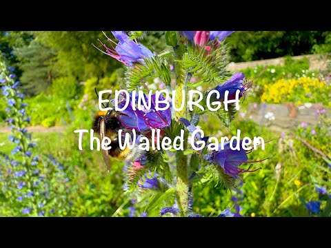 The Walled Garden, Edinburgh - Beautiful Flowers on a Hot, Sunny Summer Day in Edinburgh, Scotland
