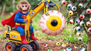 Monkey Finds a Magical Eyeball Tree 👁️🌳 | Thief Monkey Gets Caught! | Monkeybell 