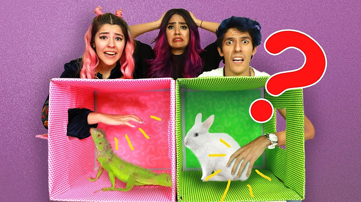 WHAT IS IN THE BOX? | POLINESIO CHALLENGE |  LOS POLINESIOS