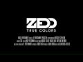 Capture de la vidéo Zedd - True Colors Documentary Trailer