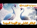 كيفاش تعاملي مع اللوسة السوسة