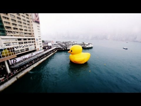 Hunky-Dory Hong Kong (Time-Lapse ,Tilt-Shift)