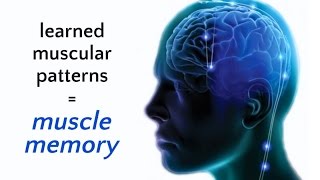 Celebrity What is Somatics? | Thomas Hanna's Clinical Somatic Education Net Worth