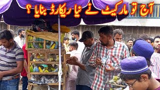 Biggest Birds Market Lalukhet Karachi Reasonable Price All Bird