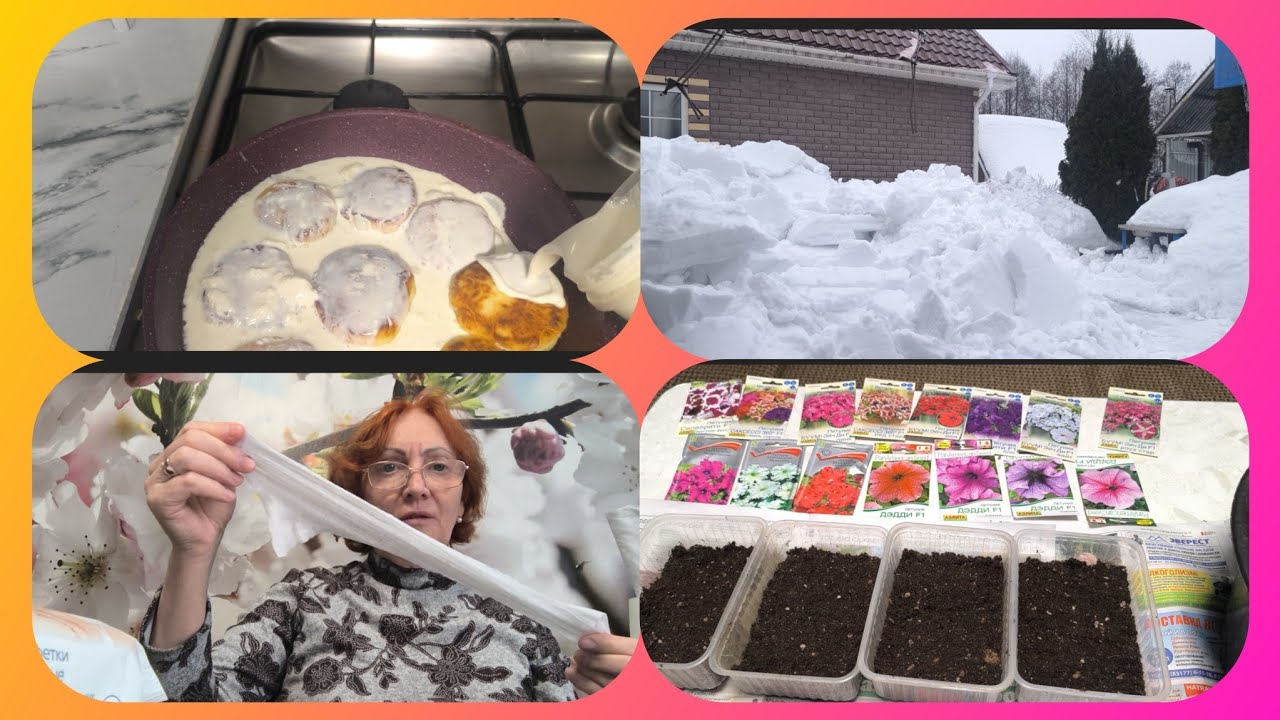 Ой !что творится !🤦Нажарила сырников,посеяла перчики и петунии 🏵️Кудри по новому🤗