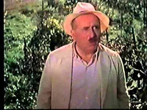 მექანიკური ფუყუ