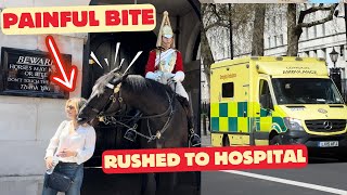 Royal Guard Horse Bites Woman Painfully, Rushed to Hospital.