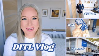 картинка: Видеоблог DITL | Примерка TU | Новая машина? | Первый раз пробую #wild от Wagamama