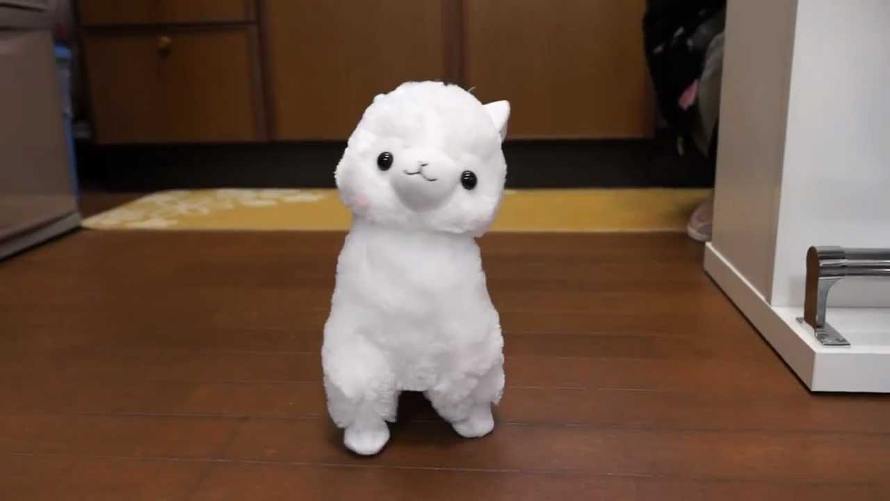 アルパカッソとことこダンス Youtube