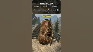 Welke rugzak is de beste in Skyrim? #gaming #skyrim #shorts