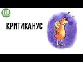 Почему начинающие фрилансеры так любят критиковать других? Таракан фрилансера &quot;Критиканус&quot; в работе!