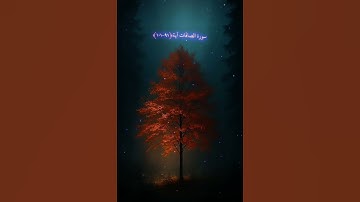 احترم القران الكريم ولا تهرب 🏃♀️🏃♂️➡️