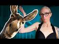 AI thinks for us now, BUT what about our DONKEY?