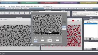 TUTORIAL: Calibrating The Scale