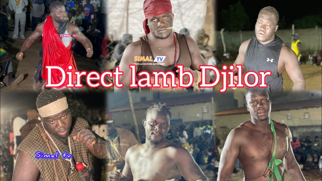 Direct lamb Djilor