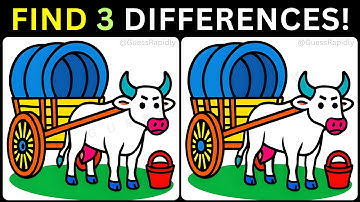🎯Brain Teaser: Find Three Subtle Changes🧠【#438 Brain Game Challenge Spot 3 Differences】