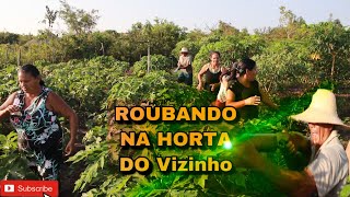 ROUBANDO NA HORTA DO VIZINHO