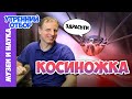 Сенокосцы: пауки или нет? Тимофей Левченко