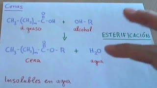 ¿Qué es la cera en quimica?