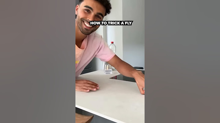 How to trick a fly #memes #funny #comedy