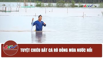 Tuyệt chiêu bắt cá rô đồng mùa nước nổi | Truyền hình Hậu Giang