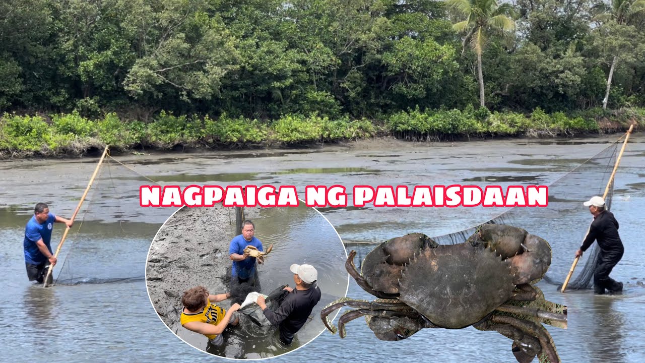 NAGPAIGA NG TUBIG SA PALAISDAAN + MARAMING HULING BANGUS AT ALIMANGO