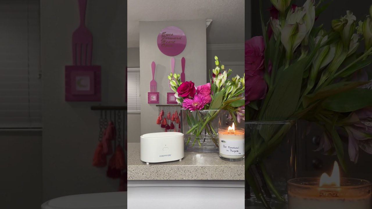 Air Purifier for Small Spaces like your Beauty Room 