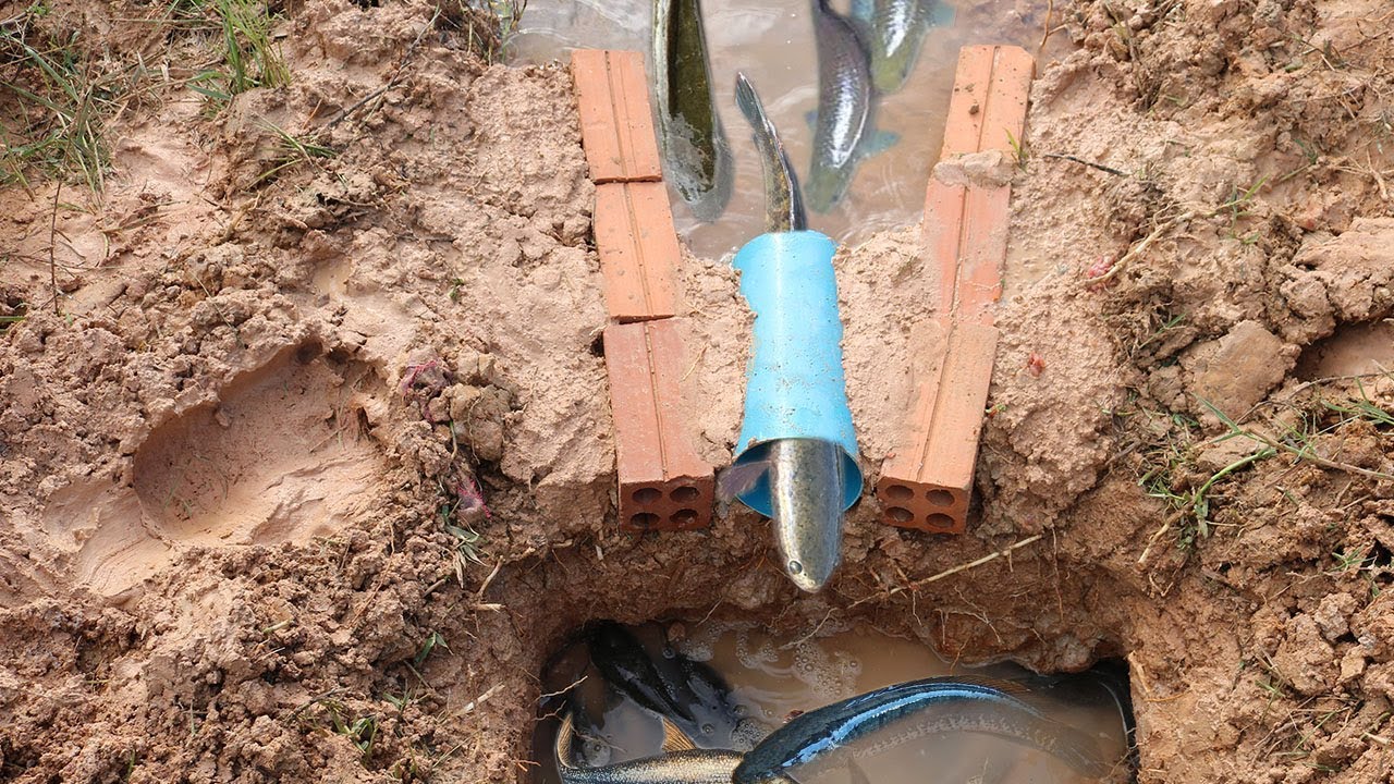 Creative Girl Make Deep Hole Fish Trap Using Brick And PVC To Catch A ...