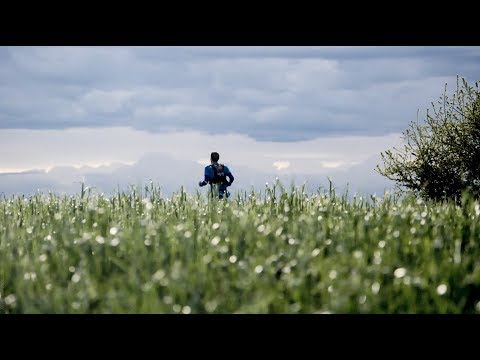 Trail des Coursières 2019 : vidéo officielle