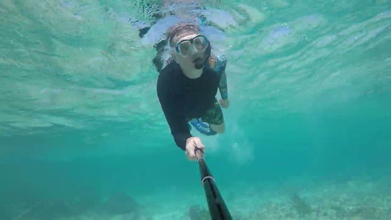 Maroma Beach Area 1 Hour Snorkeling in 5 Minutes