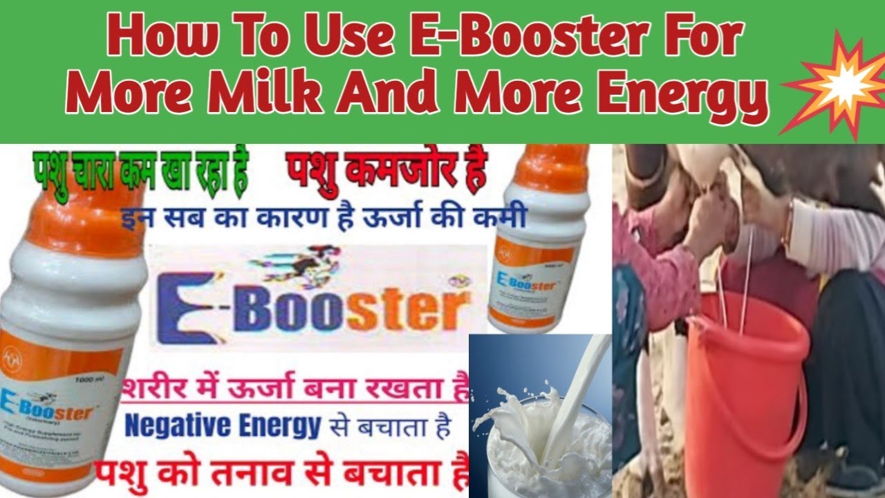 How to use E-Booster for more milk and more energy