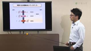 【薬学部】くすりの生体内運命とその応用展開