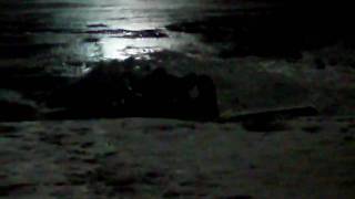 SDC10385.AVI
