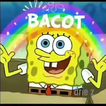 spongebob bacot😂