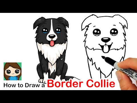 How to Draw a Border Collie Puppy Dog Easy