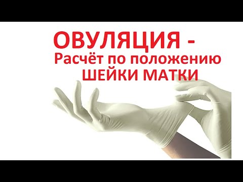 ✅Расчёт 💥ОВУЛЯЦИИ по ШЕЙКЕ МАТКИ (положение/плотность) Как понять, что наступило время 👌для контакта