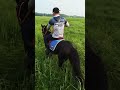 #RidingSkills #EquestrianPerformance #EquestrianTraining